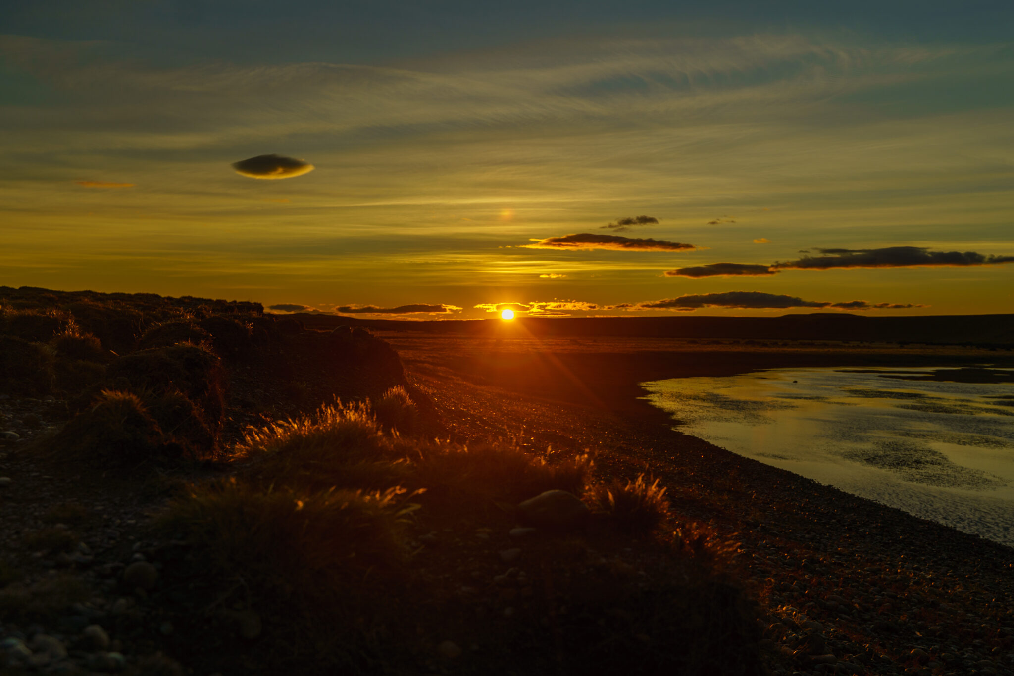 Las Buitreras Week Report 8