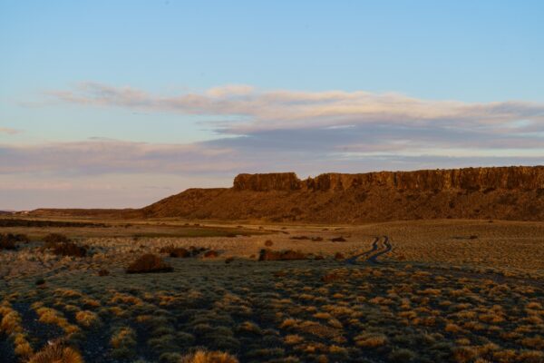 2890df17-c5cd-499f-a8a7-c34448dc5c60