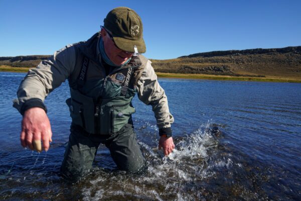 39bd6d71-93b8-49a1-8474-b566538fe092