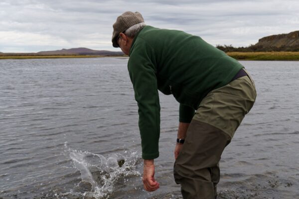 4ed3277c-be82-4313-86a0-cb387135dfb9