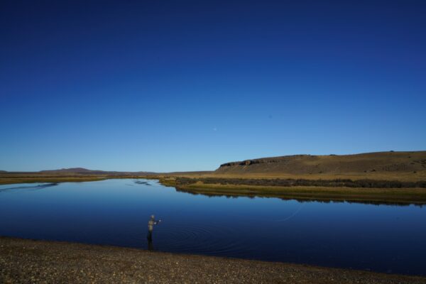 602dc7a3-5f79-4d27-9ea3-c7dc984ca614