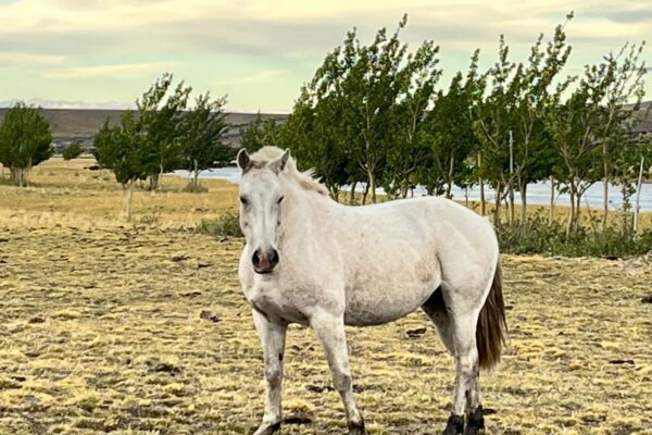 61e97924-fa7f-4fe4-9bff-b7b65d18b83e