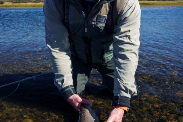 6fff88dc-bbaf-4f5b-9cde-fff3f65715d9