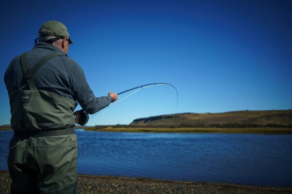 85cc0a00-d78a-4c75-8ae3-39aff3289ae7