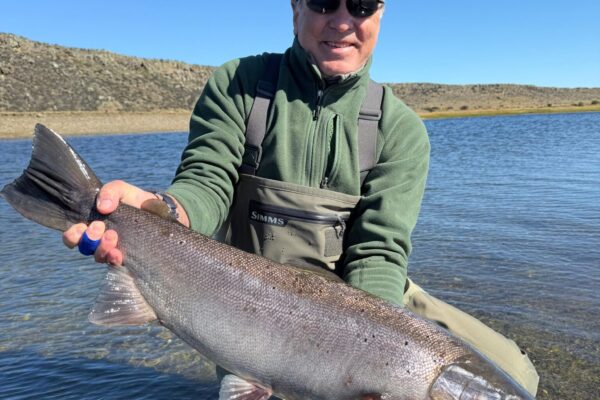 a37cf98b-9fc7-473b-b4cc-d3c02fc7dc24