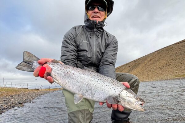 a8b48394-2f70-42c0-ba79-f2690524d111