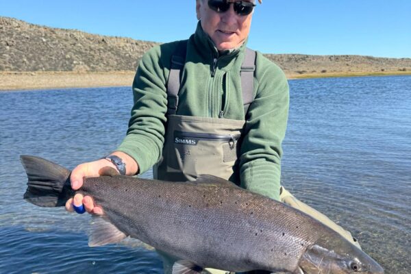 acfdb616-6891-4ac0-a914-dd7b554979e2