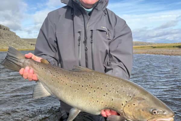 c52287b6-8b5a-4edd-aaee-cee7af7c530e