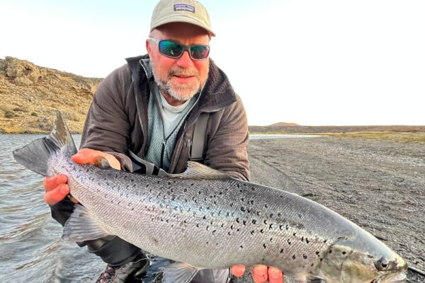 d10d264b-0b98-48a3-93d2-1c043d603a29