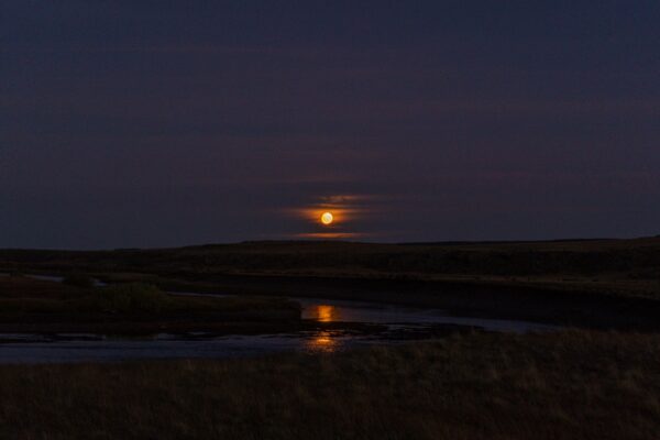 f0d8c5c5-3e0a-45d7-8490-cb167cdd9d1a