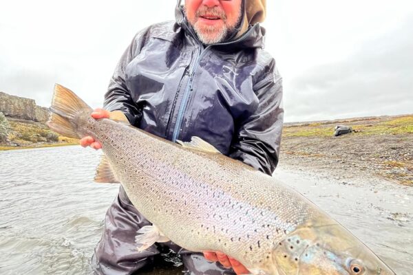 1a303cd7-32d2-43de-bec3-bd8abf7e8bb4