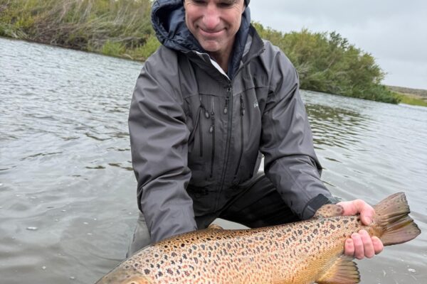 29a11fbc-ceda-48b8-83e5-fe12ade06371