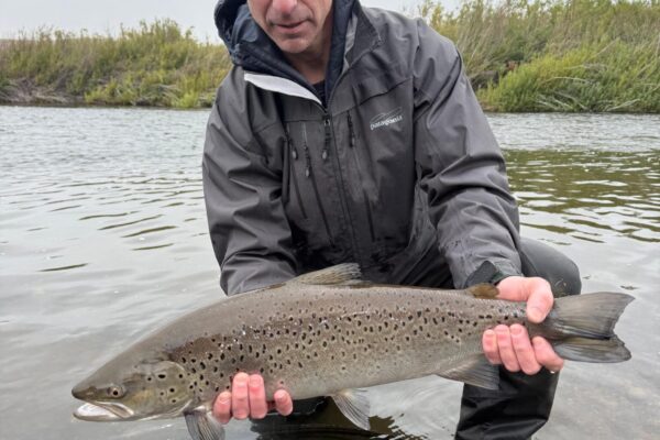 2f1e6888-93c0-465f-b355-31d827d5c588