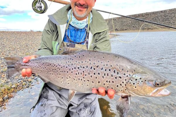 322f24fc-e8bc-4917-a218-5d285eed467f