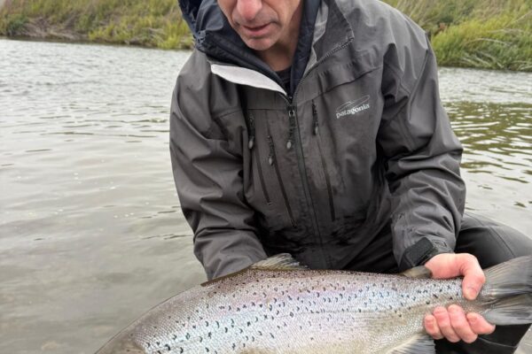 395ebb4e-39b9-4991-a1ef-1493b85f6d82