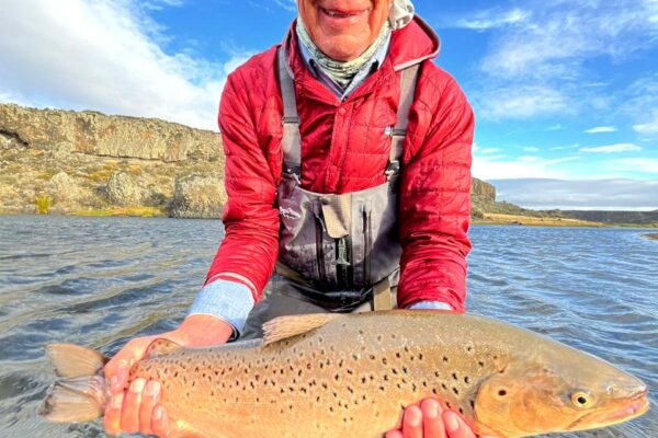 3ad896d2-abbe-4933-94a6-e10cefd4866e