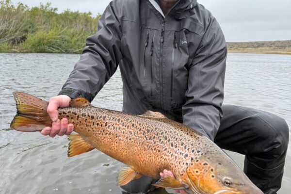 7a6bb2a8-4a92-4103-b22e-df86c8207253