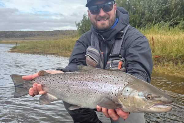 93a5fda1-ed8a-49a5-ba58-9db33e7700b1