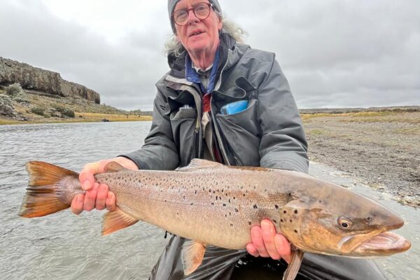 9a8a25c2-a498-4ba3-a137-7981e7558602