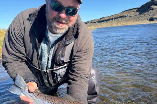 ab6478fa-406f-48ca-8002-fe7a965d4a7a