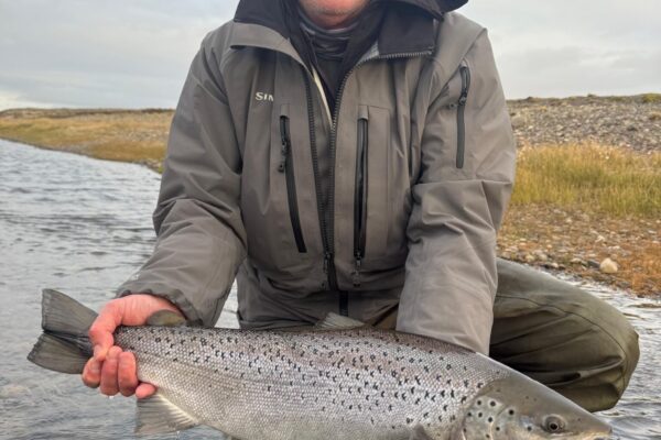 ae0296c1-d775-4354-8a50-abf4c796305f