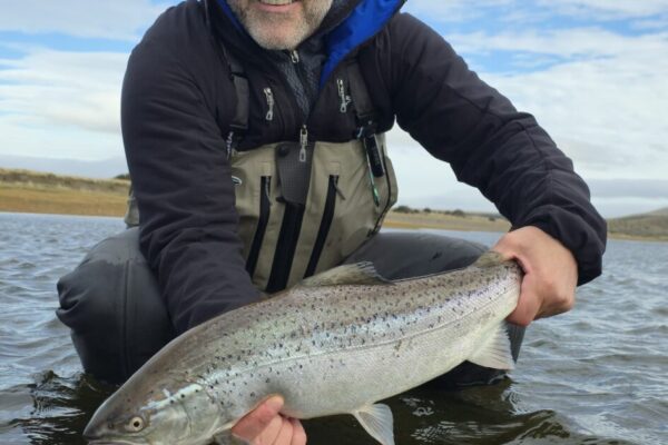 bb5ab90a-7e3d-4b09-b544-503ce0755e32