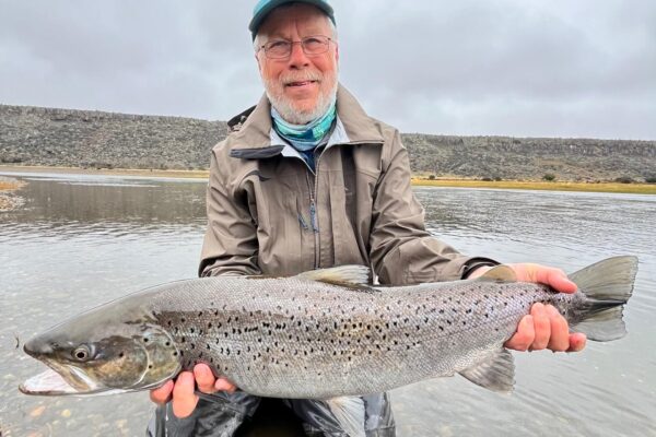 f7c38535-b860-4141-b429-af6b933cb3ce