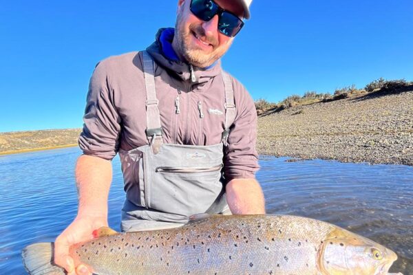 fa3345db-ab38-440e-8fc4-5653dd401711